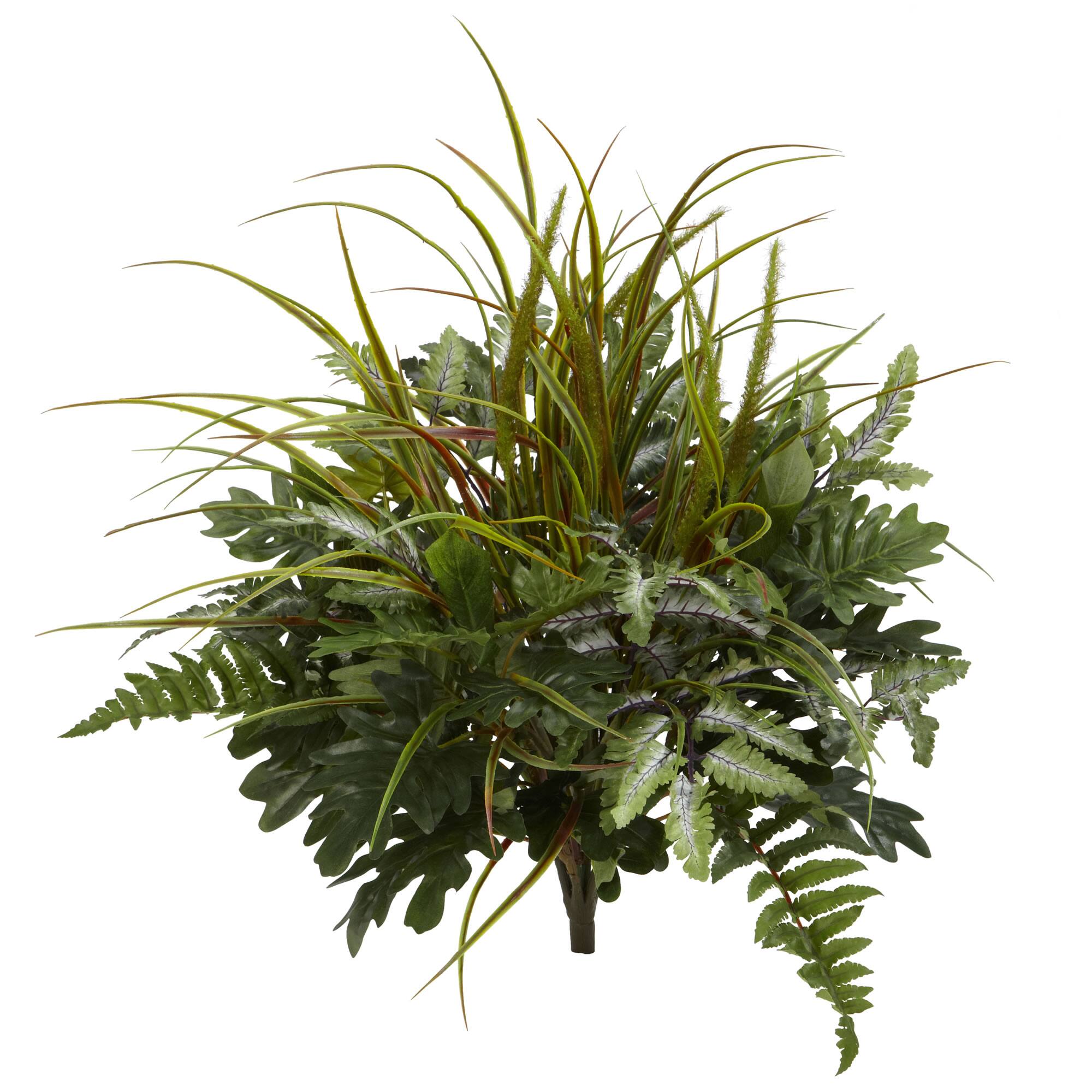 2ft. Mixed Greens Plant, 2ct.